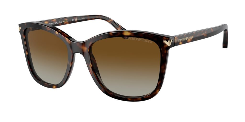 Occhiali da sole Emporio Armani EA4060 5026T5