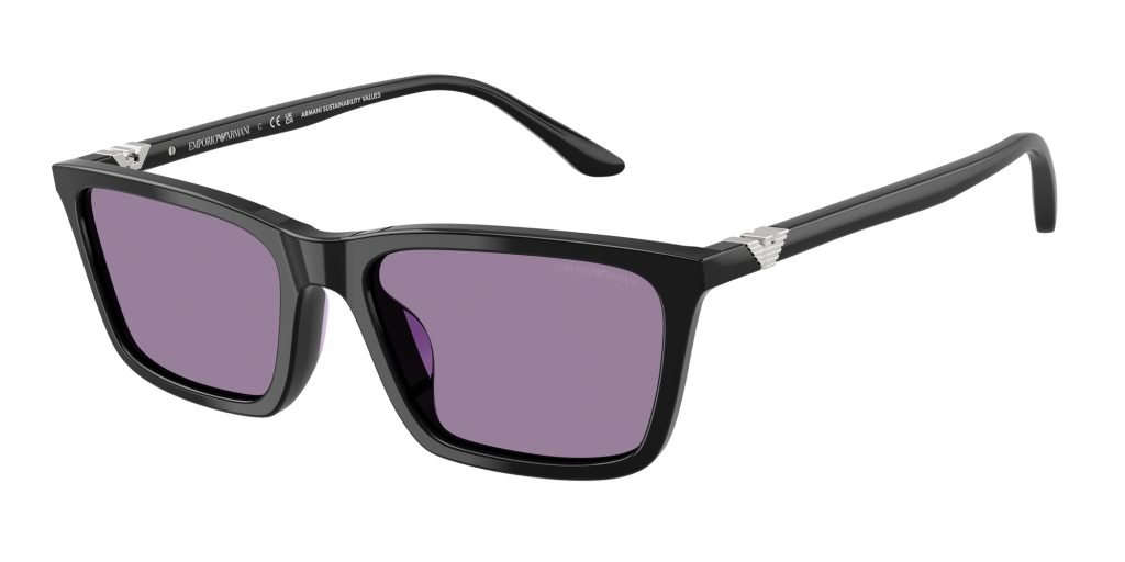 Occhiali da sole Emporio Armani EA4239U 501769