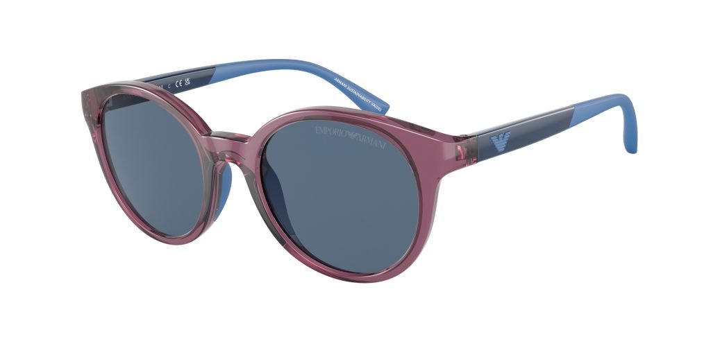 Occhiali da sole Emporio Armani EK4185 507180