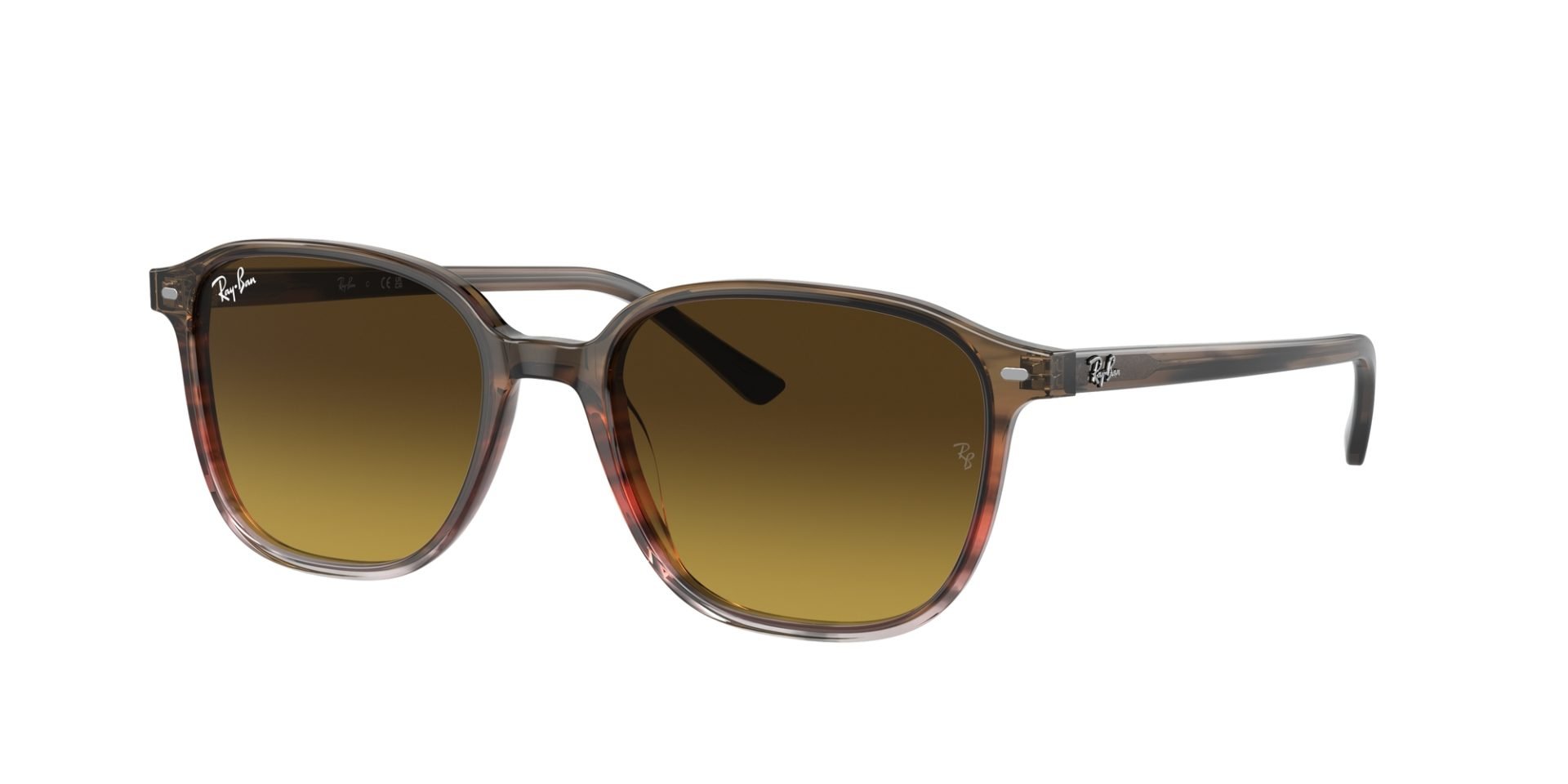 Occhiali da sole Ray Ban RB2193 138085 LEONARD