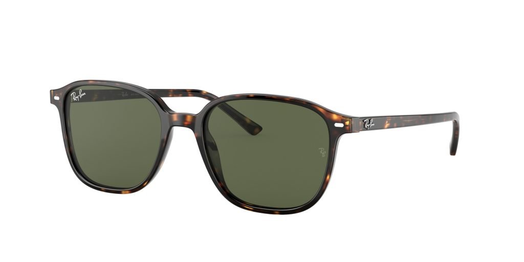 Occhiali da sole Ray Ban RB2193 902/31 LEONARD