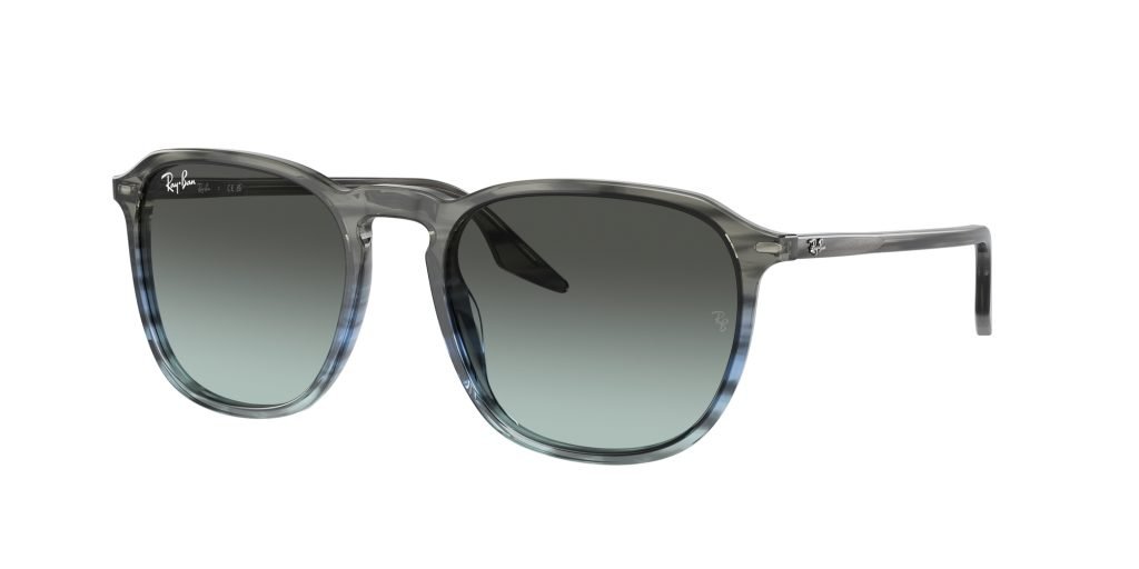 Occhiali da sole Ray Ban RB2203 1391GK