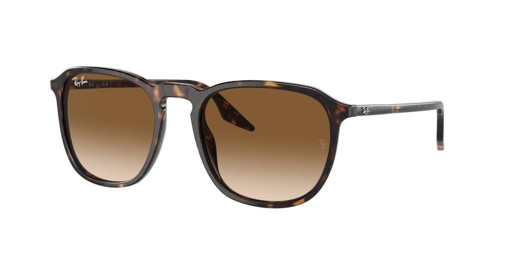 Occhiali da sole Ray Ban RB2203 902/51