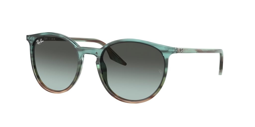 Occhiali da sole Ray Ban RB2204 1394GK