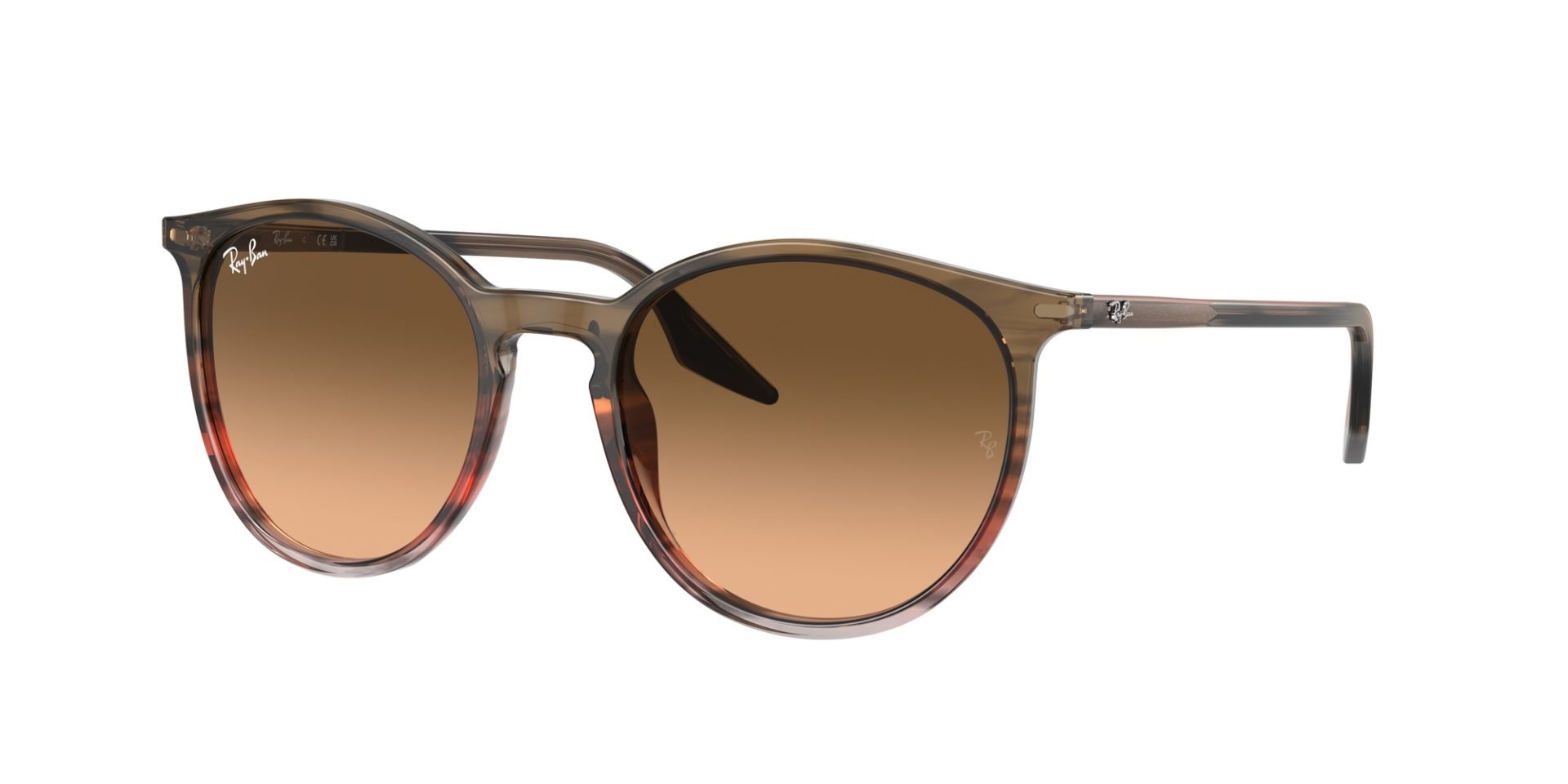 Occhiali da sole Ray Ban RB2204 13953B