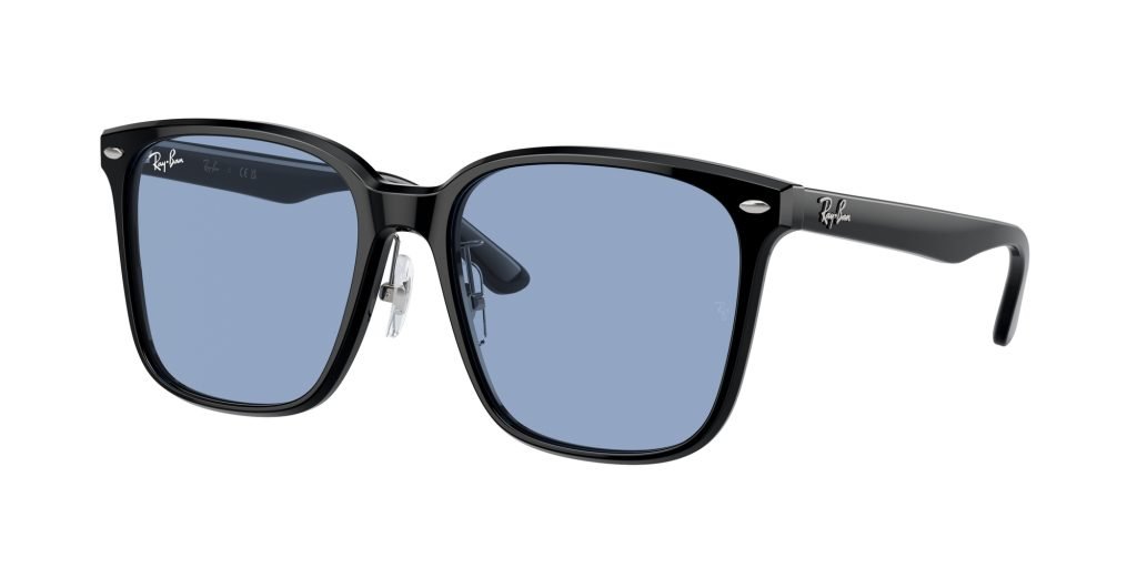 Occhiali da sole Ray Ban RB2206D 901/72