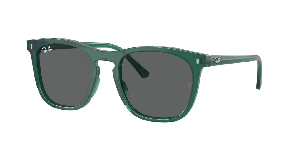 Occhiali da sole Ray Ban RB2210 6615B1