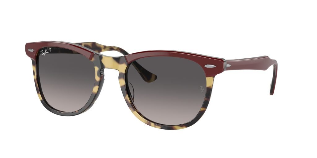 Occhiali da sole Ray Ban RB2398 1377M3 EAGLEEYE