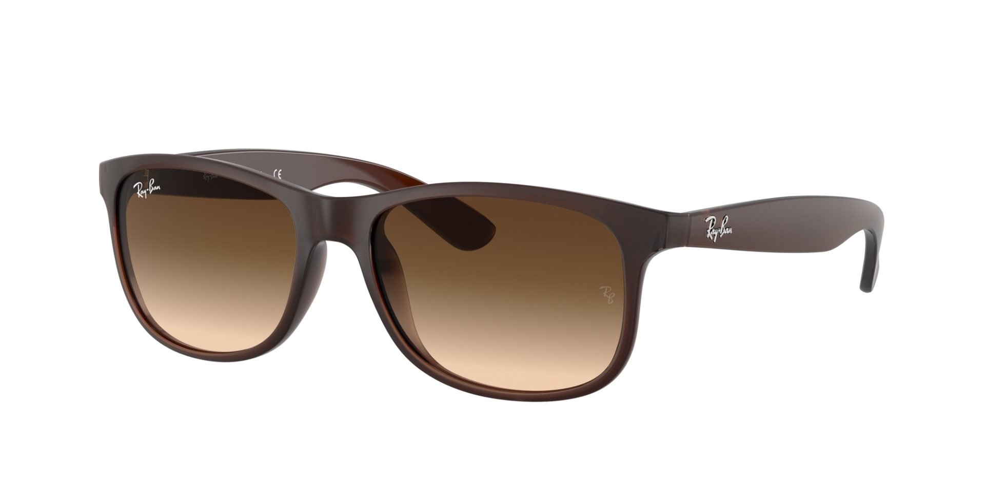 Occhiali da sole Ray Ban RB4202 607313 ANDY