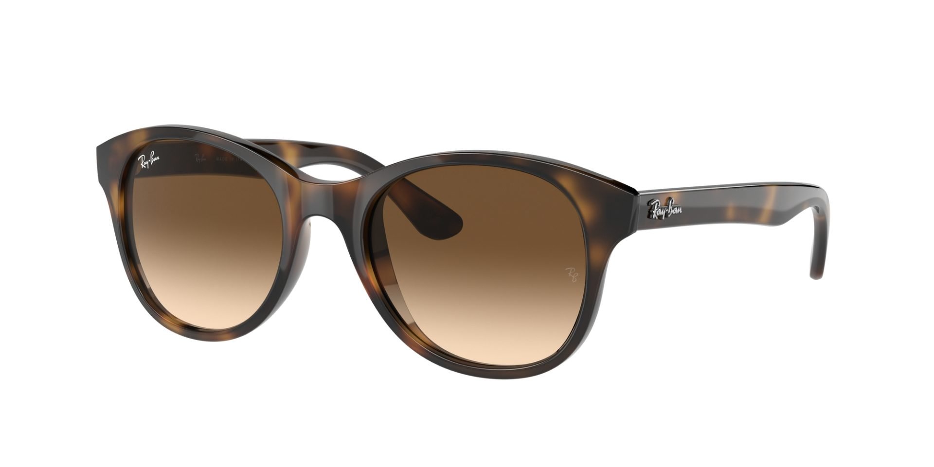 Occhiali da sole Ray Ban RB4203 710/13