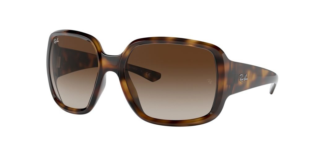 Occhiali da sole Ray Ban RB4347 710/13 POWDERHORN