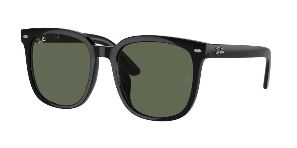 Occhiali da sole Ray Ban RB4401D 601/71