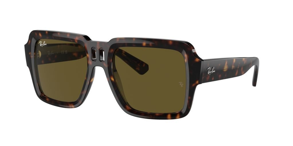 Occhiali da sole Ray Ban RB4408 135973 MAGELLAN