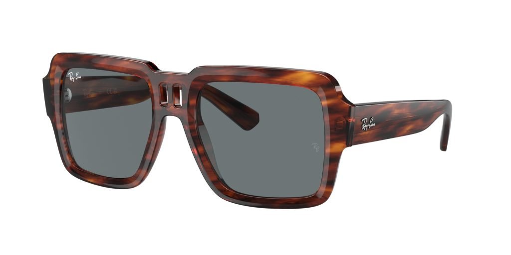 Occhiali da sole Ray Ban RB4408 139880 MAGELLAN