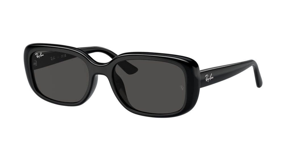 Occhiali da sole Ray Ban RB4421D 667787