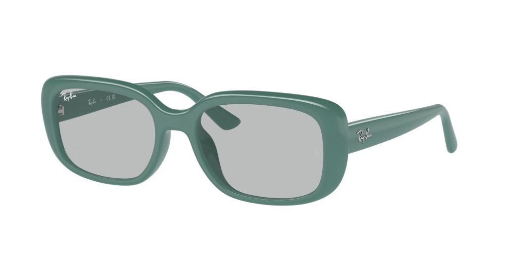 Occhiali da sole Ray Ban RB4421D 676287