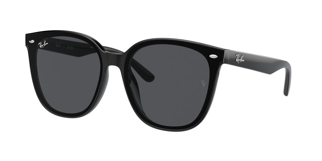 Occhiali da sole Ray Ban RB4423D 601/87