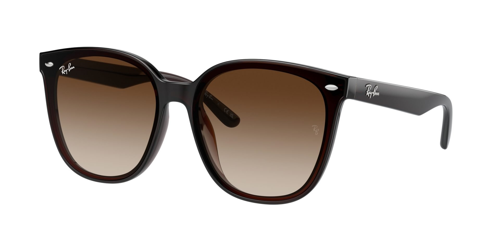 Occhiali da sole Ray Ban RB4423D 714/13