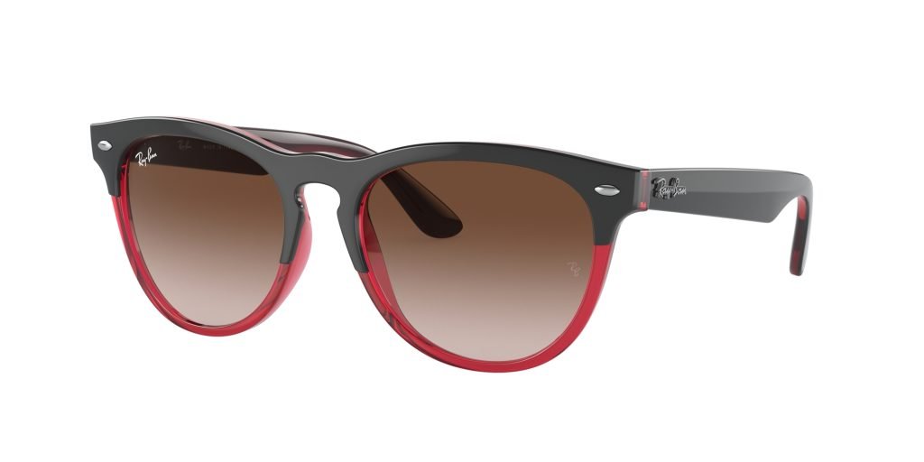 Occhiali da sole Ray Ban RB4471 663113 IRIS