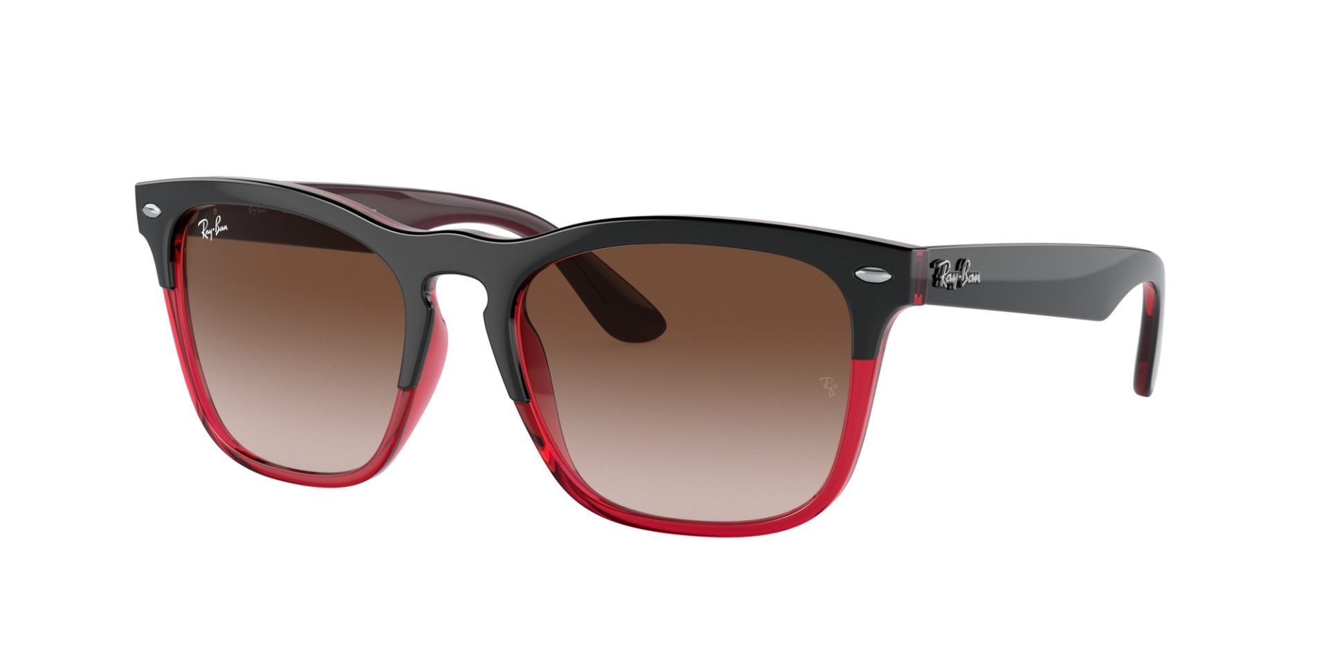 Occhiali da sole Ray Ban RB4487 663113 STEVE