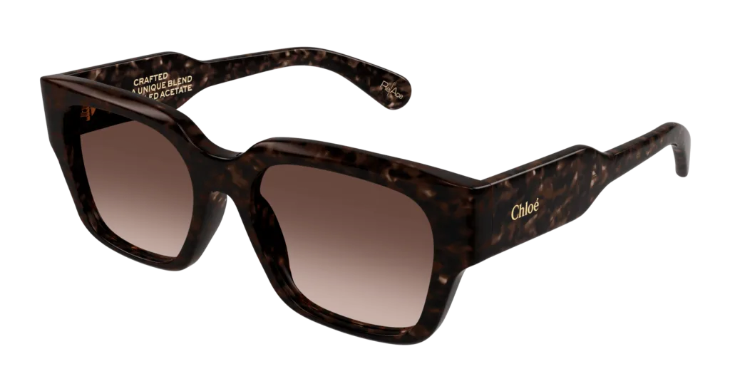 Occhiali da sole Chloé CH0190S 002