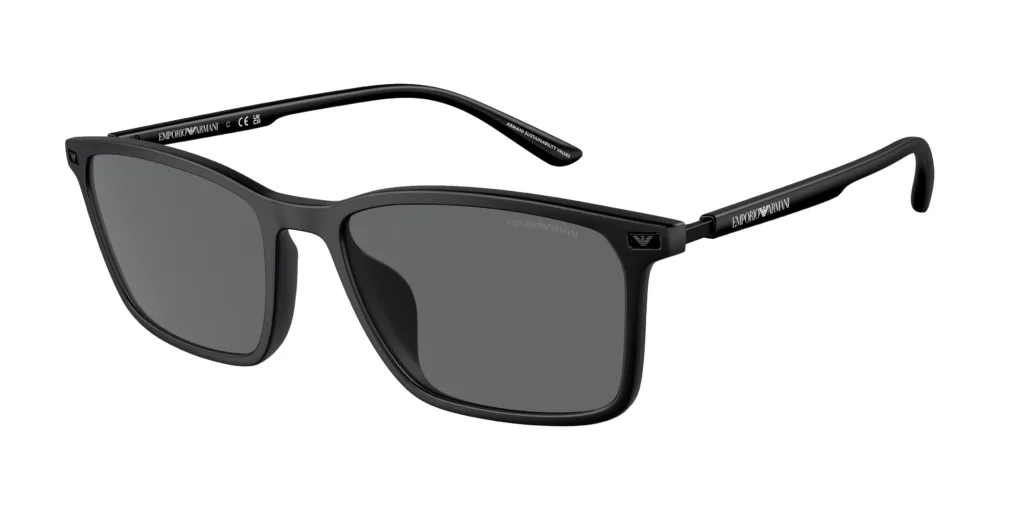 Occhiali da sole Emporio Armani EA4223U 500187