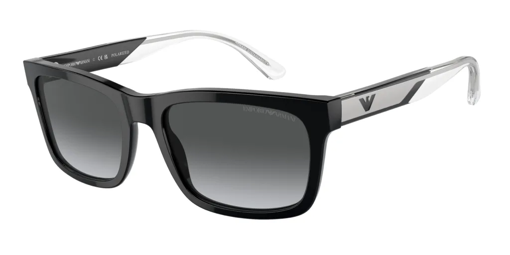 Occhiali da sole Emporio Armani EA4224 5017T3