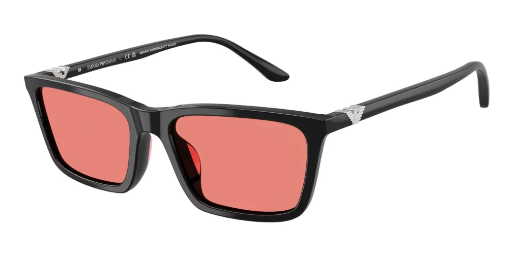 Occhiali da sole Emporio Armani EA4239U 501784