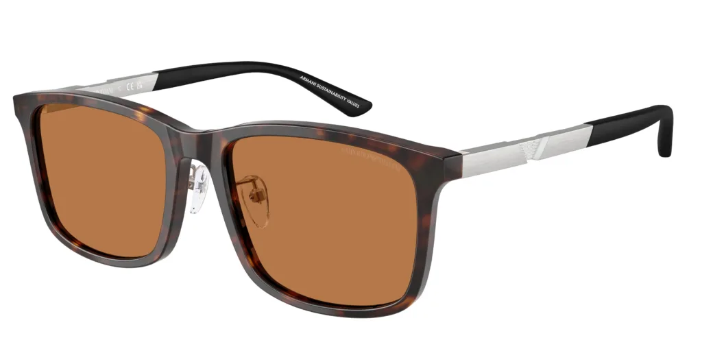 Occhiali da sole Emporio Armani EA4241D 502673