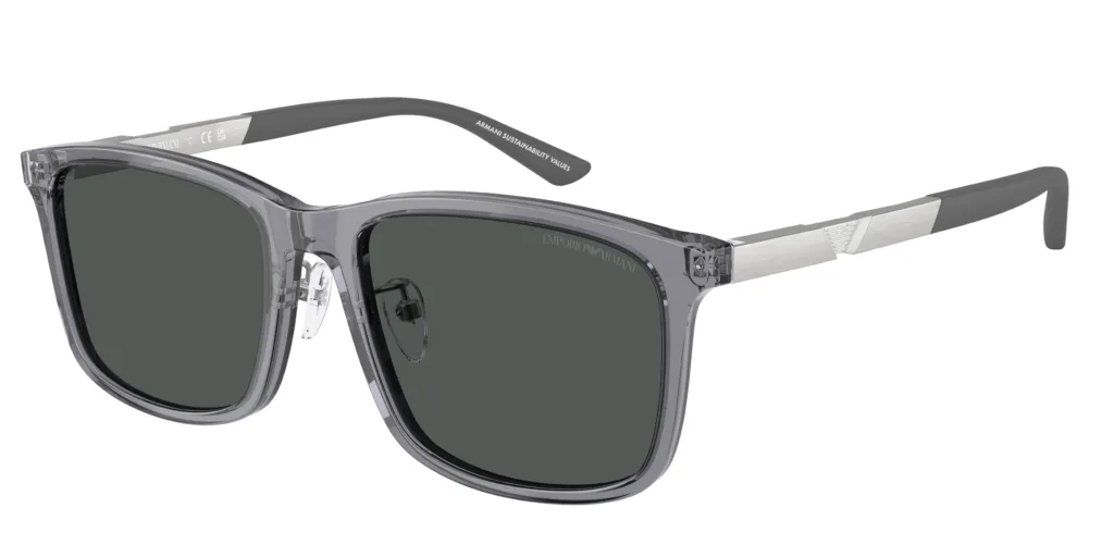 Occhiali da sole Emporio Armani EA4241D 620687