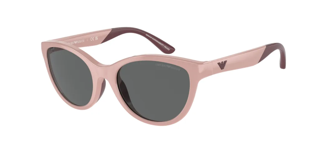 Occhiali da sole Emporio Armani EK4003 508687