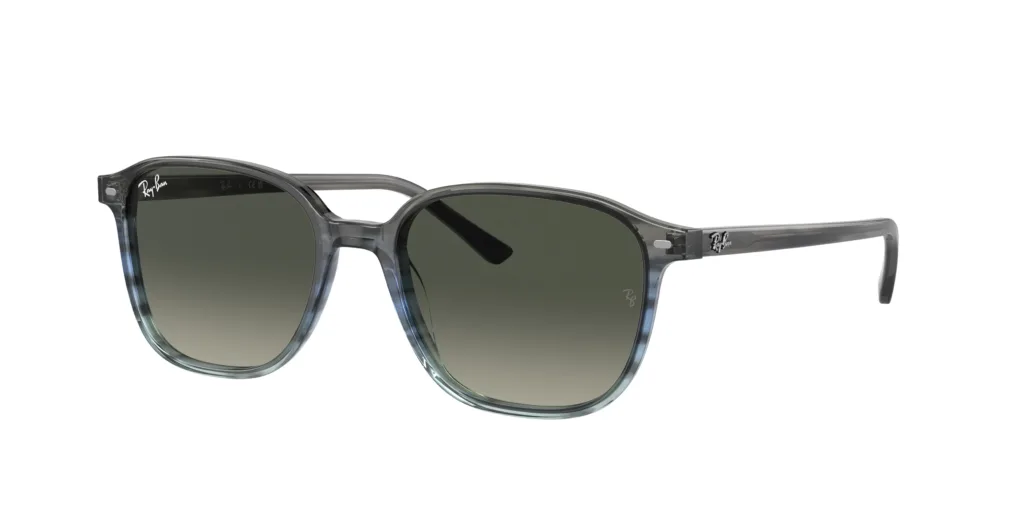 Occhiali da sole Ray-Ban RB2193 138171 LEONARD