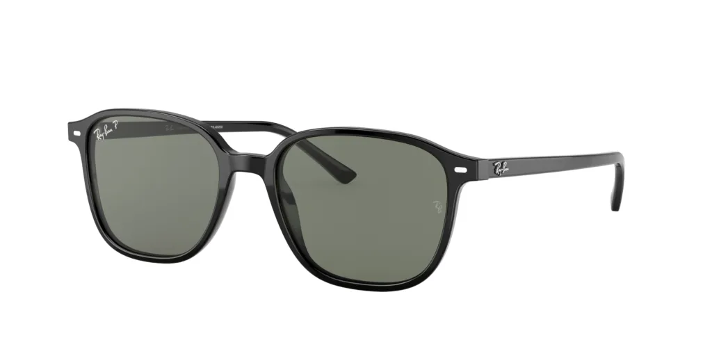 Occhiali da sole Ray-Ban RB2193 901/58 LEONARD