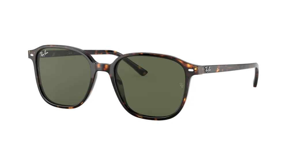 Occhiali da sole Ray-Ban RB2193 902/31 LEONARD