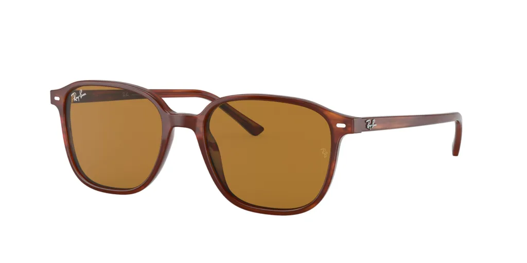 Occhiali da sole Ray-Ban RB2193 954/33 LEONARD