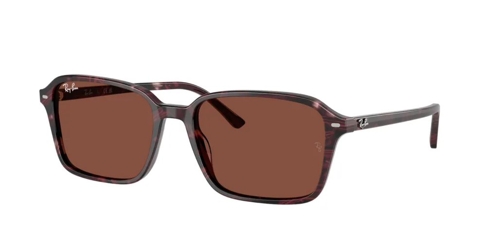 Occhiali da sole Ray-Ban RB2231 1416C5 RAIMOND