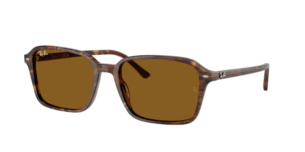 Occhiali da sole Ray-Ban RB2231 141833 RAIMOND