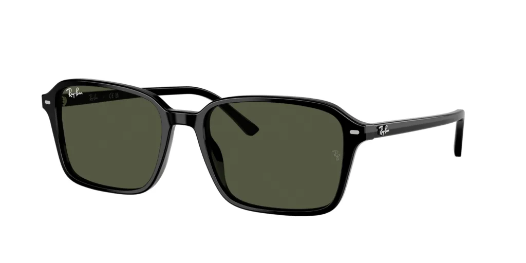 Occhiali da sole Ray-Ban RB2231 901/31 RAIMOND