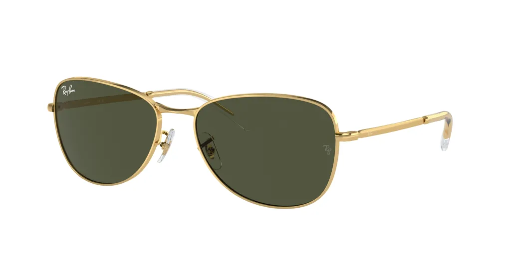 Occhiali da sole Ray-Ban RB3733 001/31