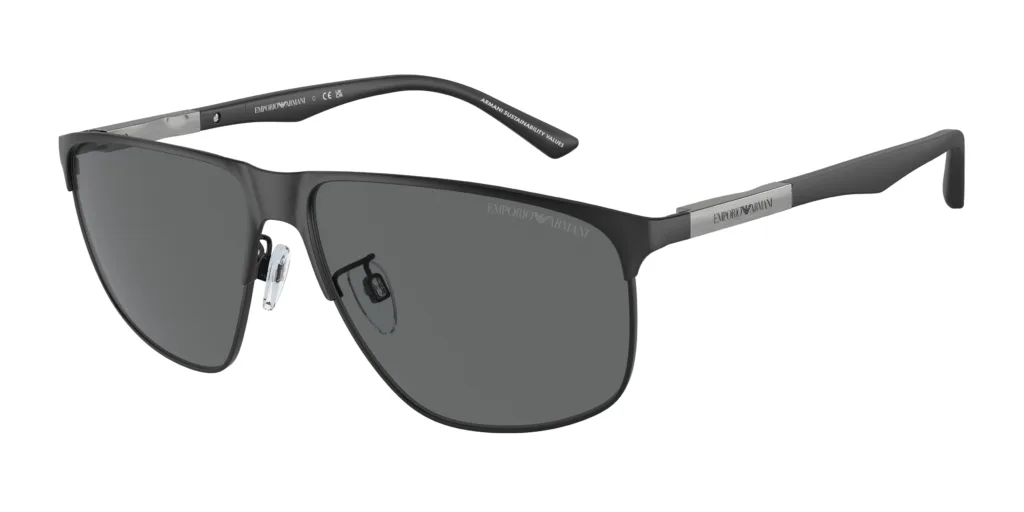 Occhiali da sole Emporio Armani EA2094 300187