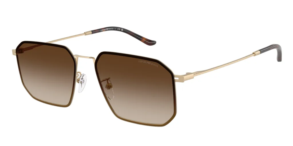 Occhiali da sole Emporio Armani EA2165D 300213