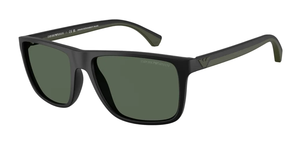 Occhiali da sole Emporio Armani EA4033 500171