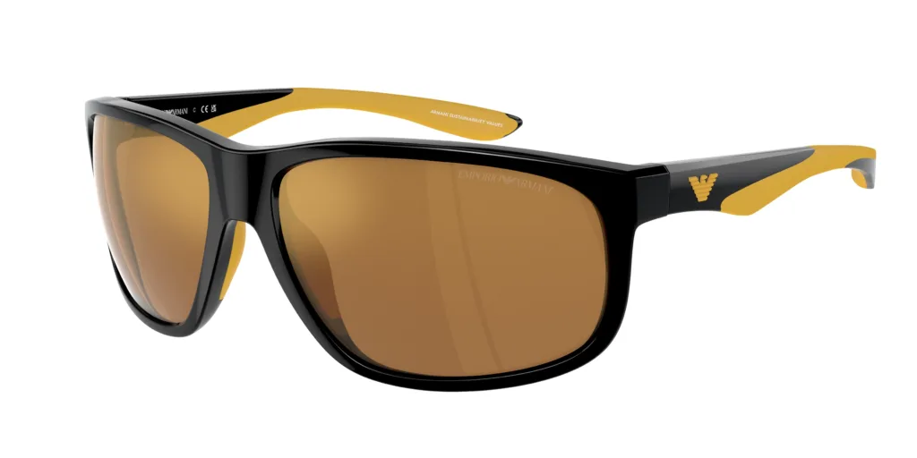 Occhiali da sole Emporio Armani EA4199U 50176H