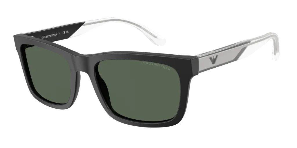 Occhiali da sole Emporio Armani EA4224 500171