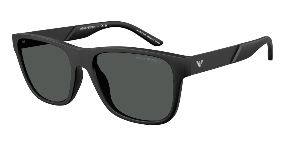 Occhiali da sole Emporio Armani EA4243 5001T3