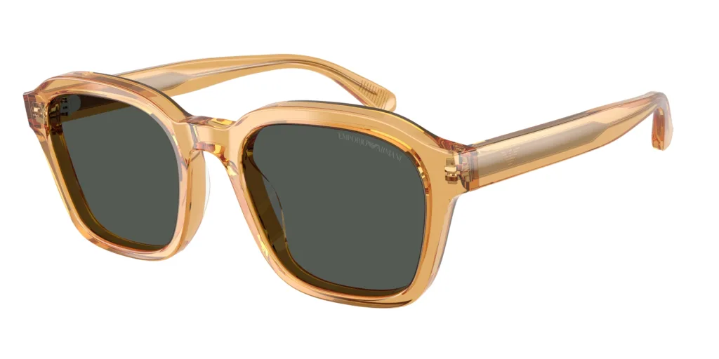 Occhiali da sole Emporio Armani EA4245U 624687
