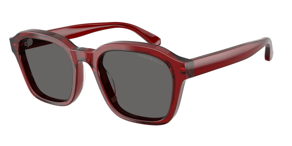 Occhiali da sole Emporio Armani EA4245U 624887
