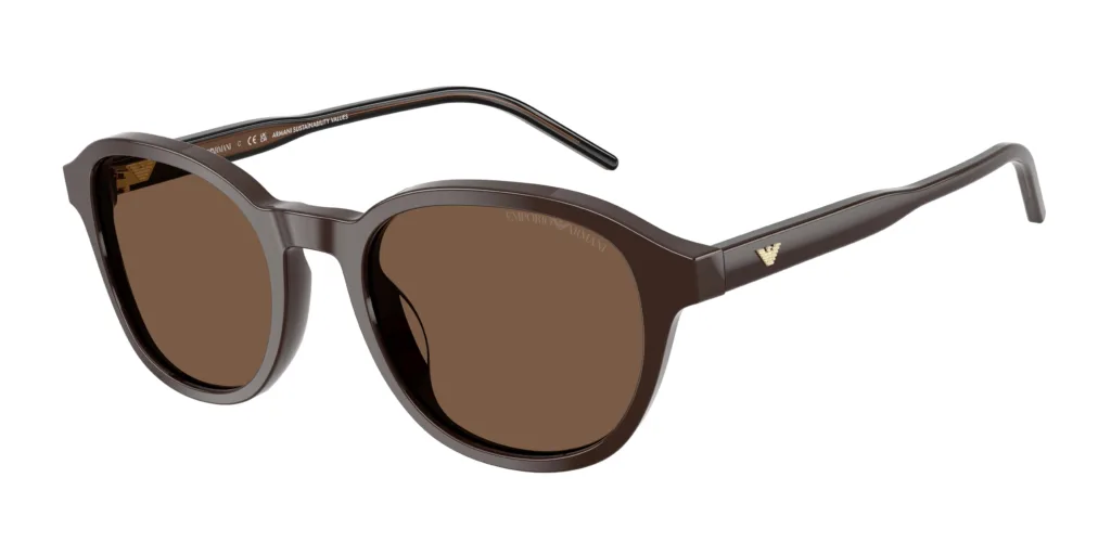 Occhiali da sole Emporio Armani EA4247U 625573