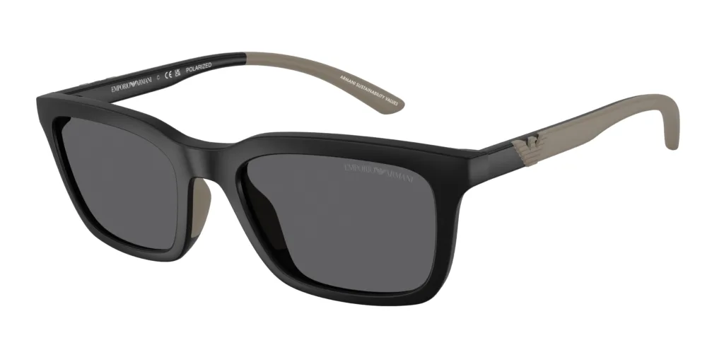 Occhiali da sole Emporio Armani EA4249U 500181