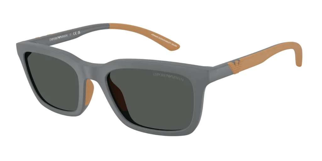 Occhiali da sole Emporio Armani EA4249U 626187
